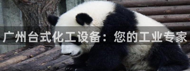 天辰平臺(tái)注冊(cè)穩(wěn)定通道推薦在哪