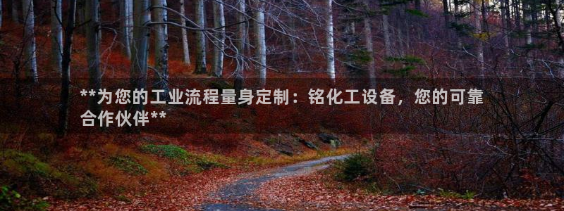 天辰平臺(tái)專用通道安全穩(wěn)定1i