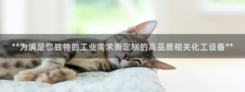 天辰平臺(tái)登錄地址在哪里查看：**為滿(mǎn)足您獨(dú)特的工業(yè)
