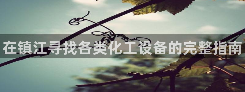 天辰平臺(tái)推選 58534I 平臺(tái)：在鎮(zhèn)江尋找各類(lèi)化