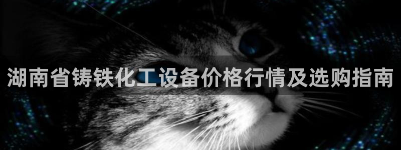 天辰平臺(tái)價(jià) 411O31 平臺(tái)：湖南省鑄鐵化工設(shè)備