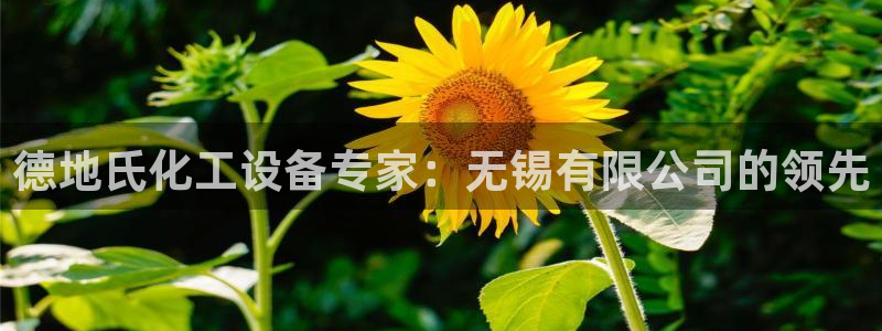 天辰平臺(tái)會(huì)員有什么用